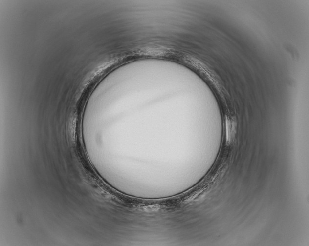 X0000110950675200907101308