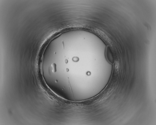 X0000110950676200907101308