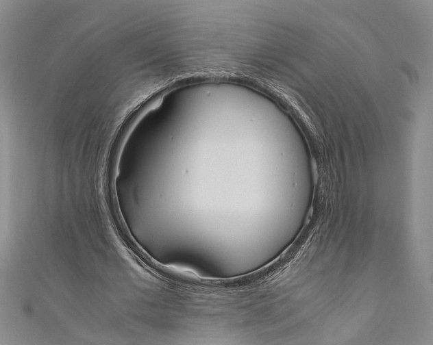 X0000110950677200907101308