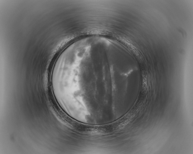 X0000110950678200907101308