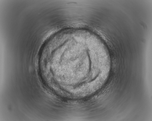 X0000110950679200907101308