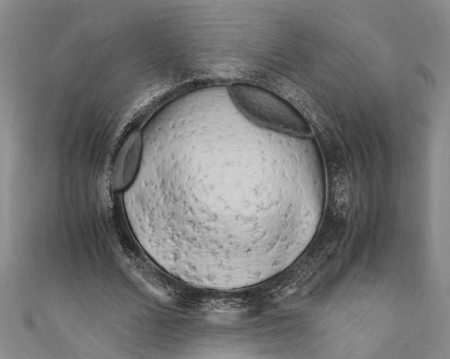 X0000110950680200907101308