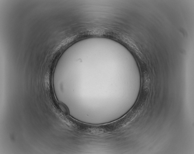 X0000110950681200907101308