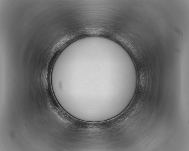 X0000110950682200907101308