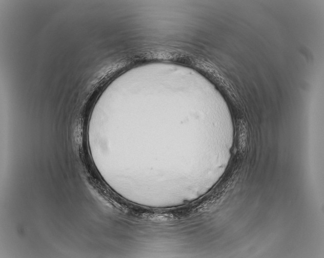 X0000110950683200907101308