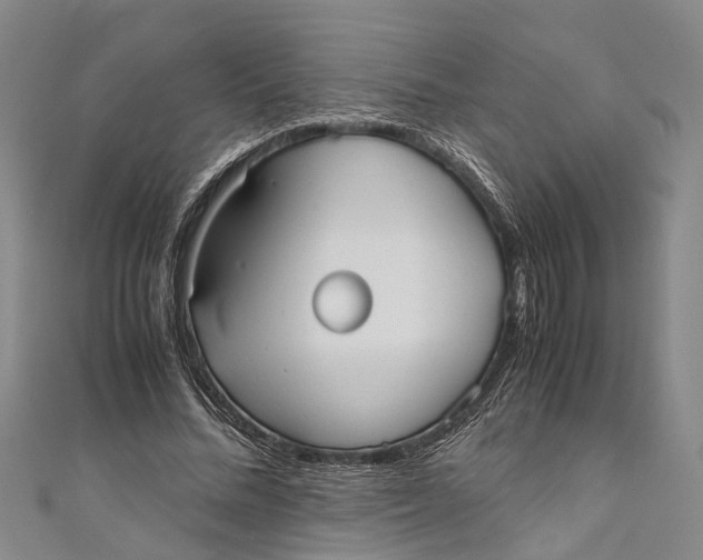 X0000110950684200907101308