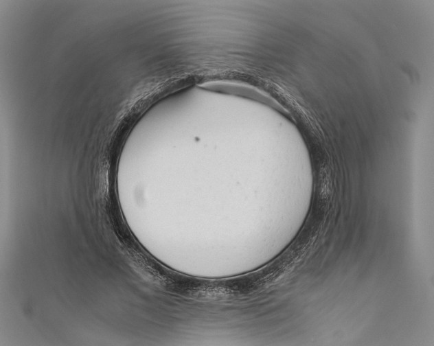 X0000110950685200907101308