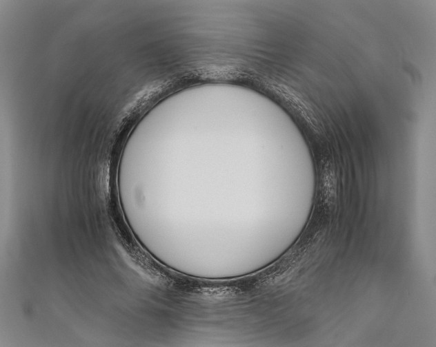 X0000110950686200907101308