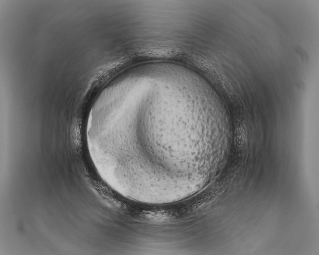 X0000110950688200907101308