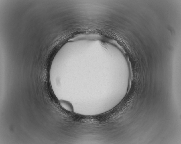 X0000110950689200907101308