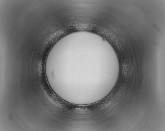 X0000110950690200907101308