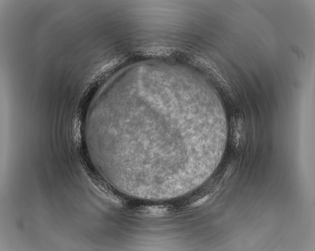 X0000110950692200907101308