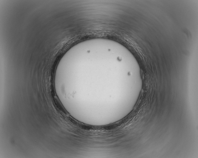 X0000110950693200907101308