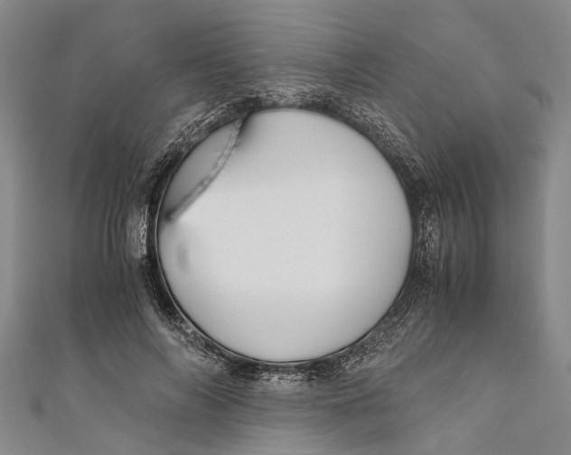 X0000110950694200907101307