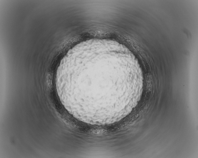 X0000110950695200907101307