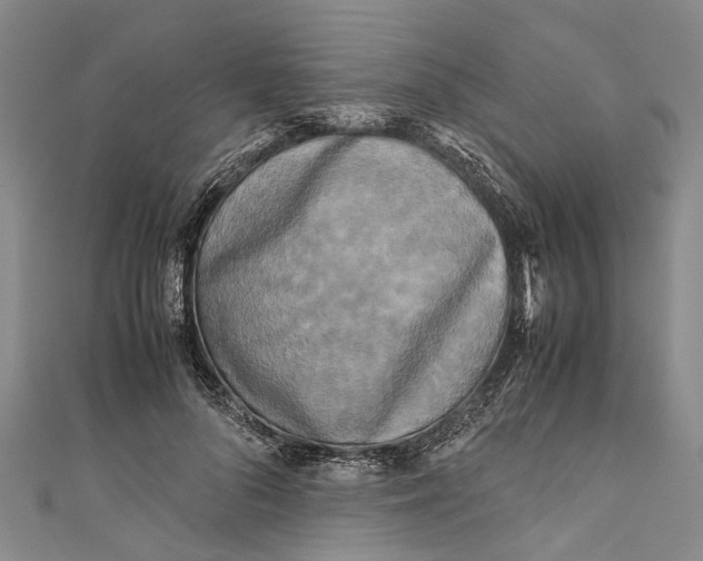 X0000110950696200907101307