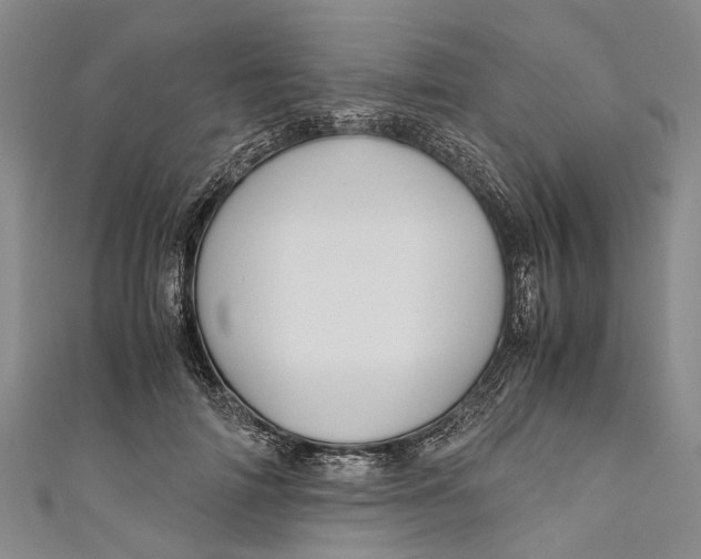 X0000110950698200907101307