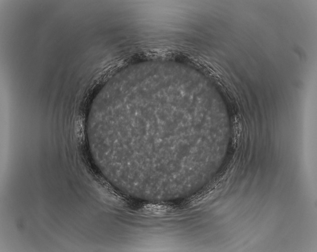 X0000110950699200907101307