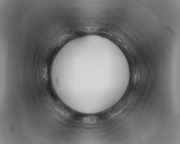 X0000110950700200907101307