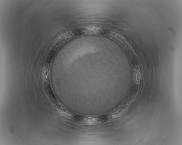 X0000110950701200907101307