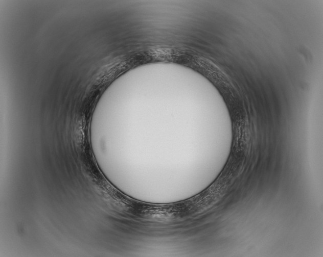 X0000110950702200907101307