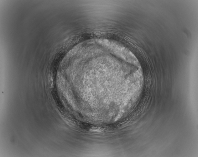 X0000110950703200907101307