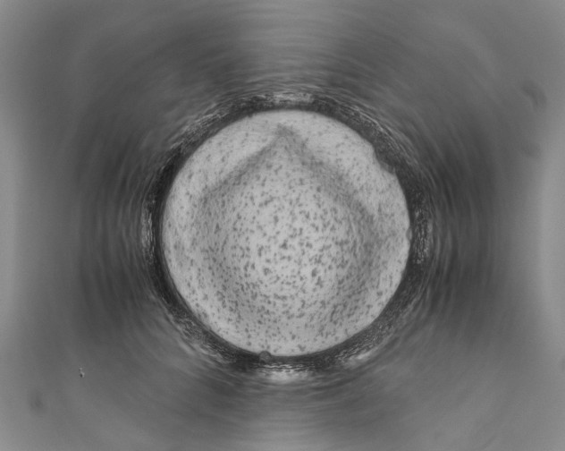 X0000110950704200907101307