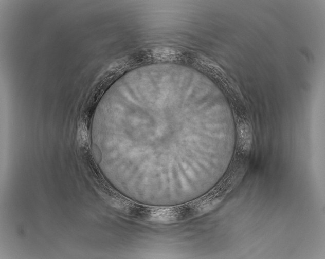 X0000110950705200907101307