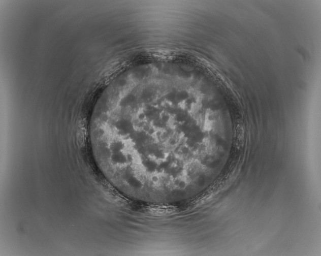 X0000110950707200907101307