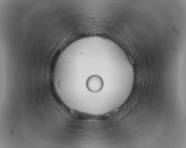 X0000110950708200907101307