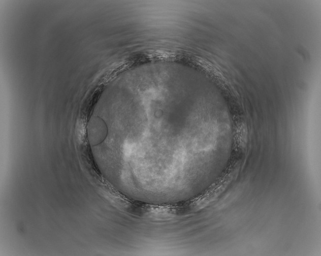 X0000110950709200907101307