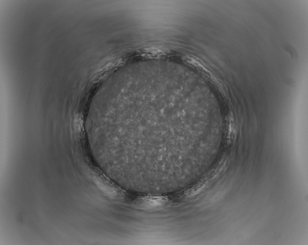 X0000110950711200907101307