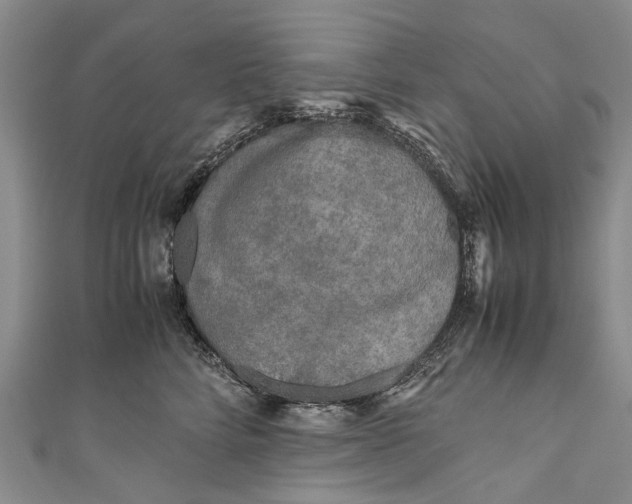 X0000110950712200907101307