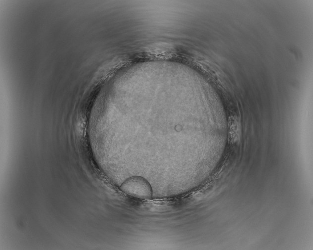 X0000110950713200907101307