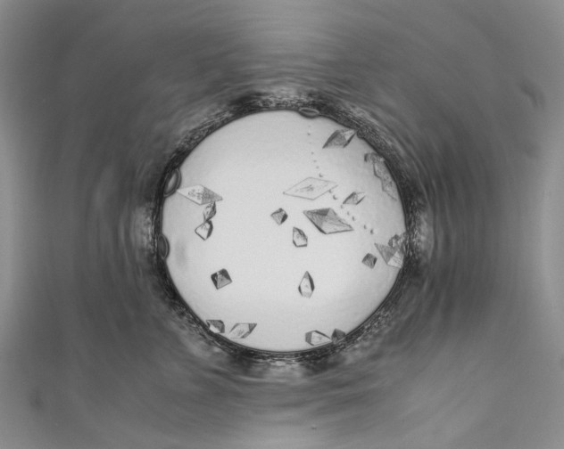 X0000110950715200907101307