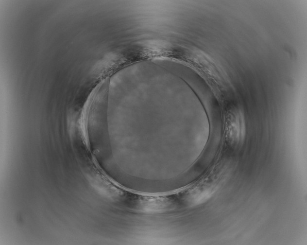 X0000110950716200907101307