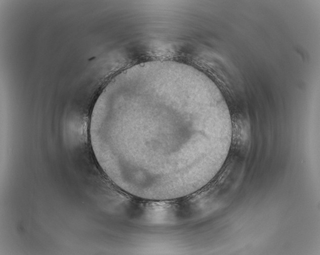 X0000110950717200907101307