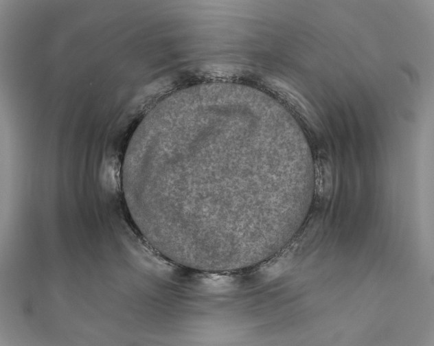 X0000110950718200907101307