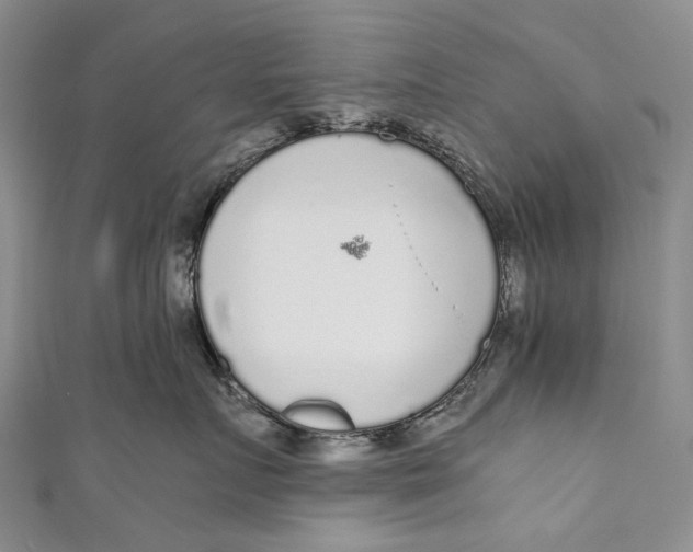 X0000110950719200907101307