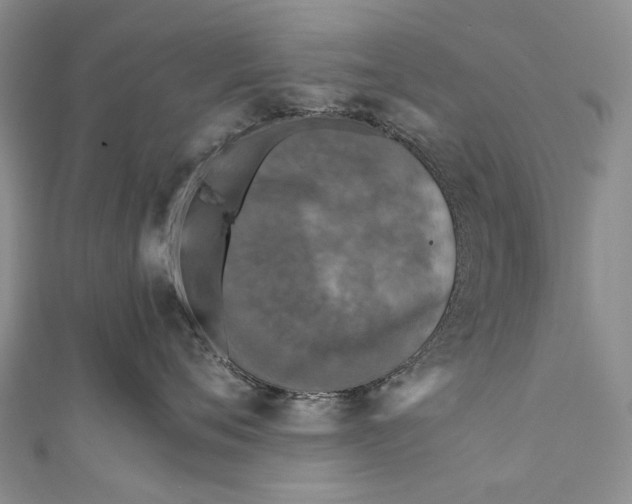 X0000110950720200907101307