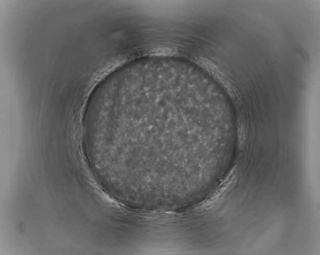 X0000110950721200907101307