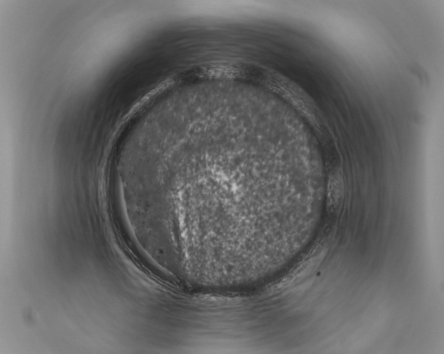 X0000110950722200907101307