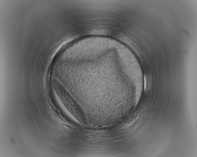 X0000110950723200907101307