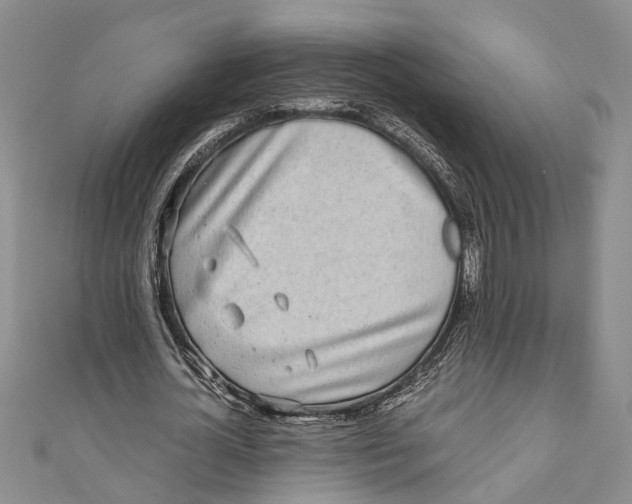 X0000110950724200907101307