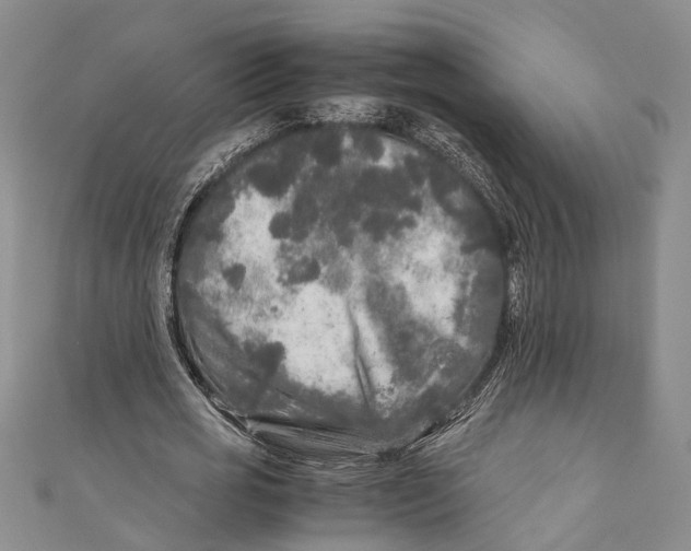 X0000110950725200907101307