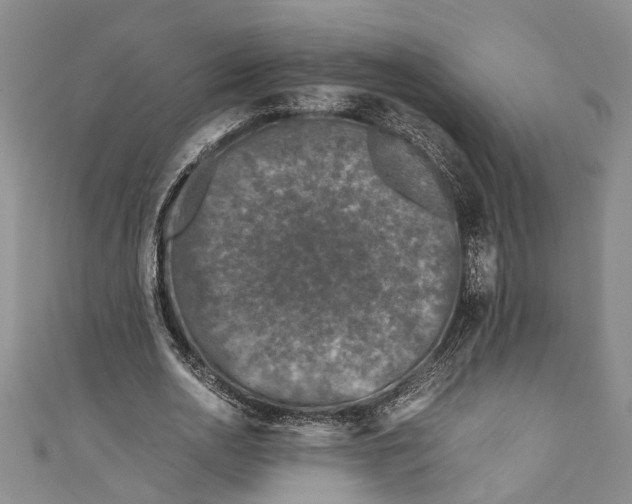 X0000110950726200907101307