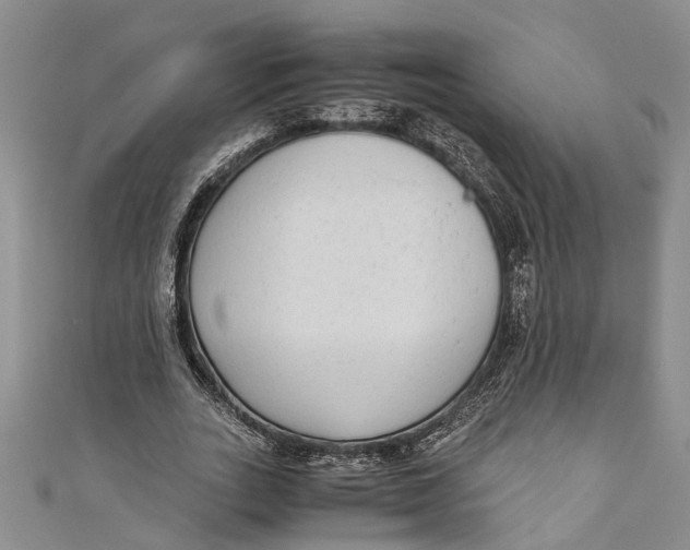 X0000110950727200907101307