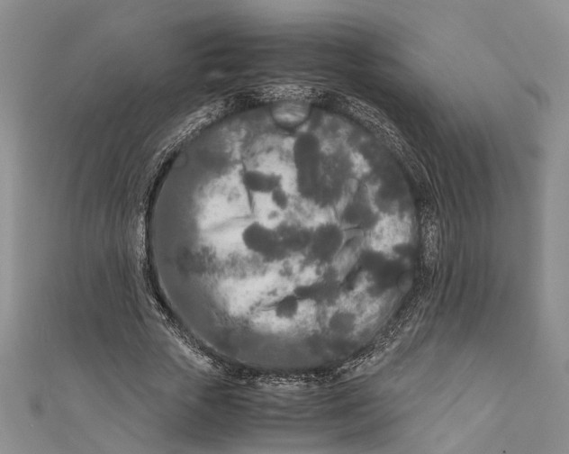 X0000110950729200907101307