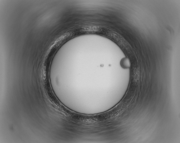 X0000110950731200907101307