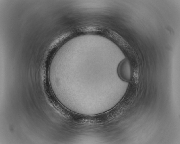 X0000110950732200907101307